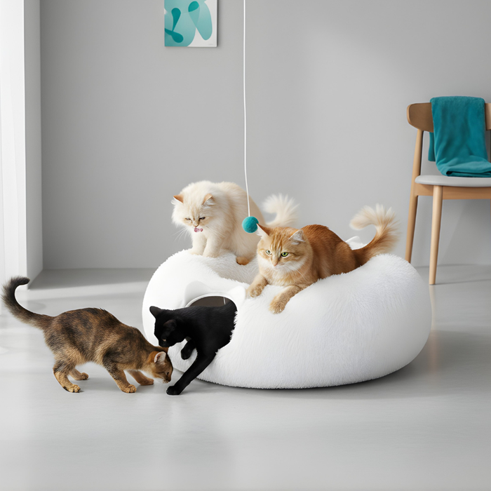 Supporting Your Pet’s Happiness and Well-Being With the Right Accessories