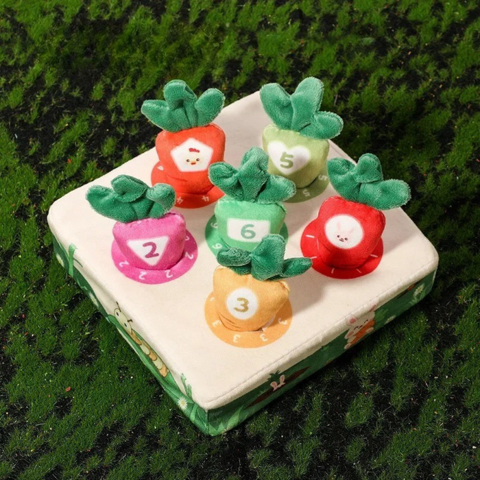 Sensory Carrots, Interactive Textures