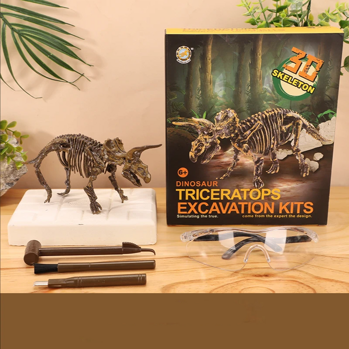 Exciting Fossil Excavation Kit, Educational Adventure