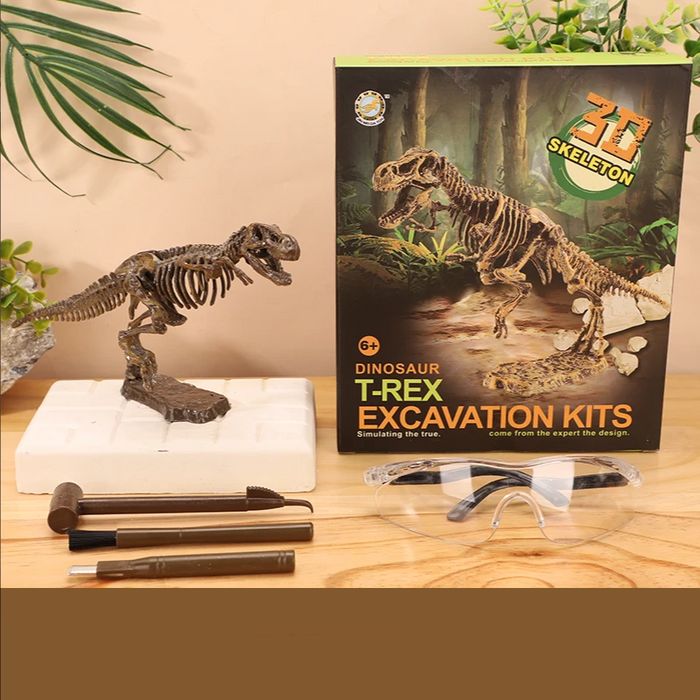 Exciting Fossil Excavation Kit, Educational Adventure