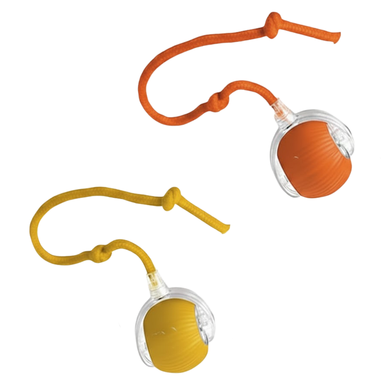 2 Packs Electric Dog & Cat Toy 360° Rolling Pet Ball for Pets