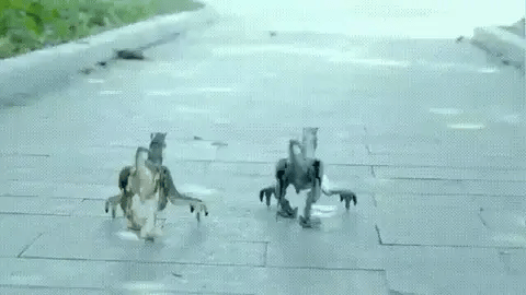 Remote Control Dinosaur Velociraptor Toy with Lights and Sounds