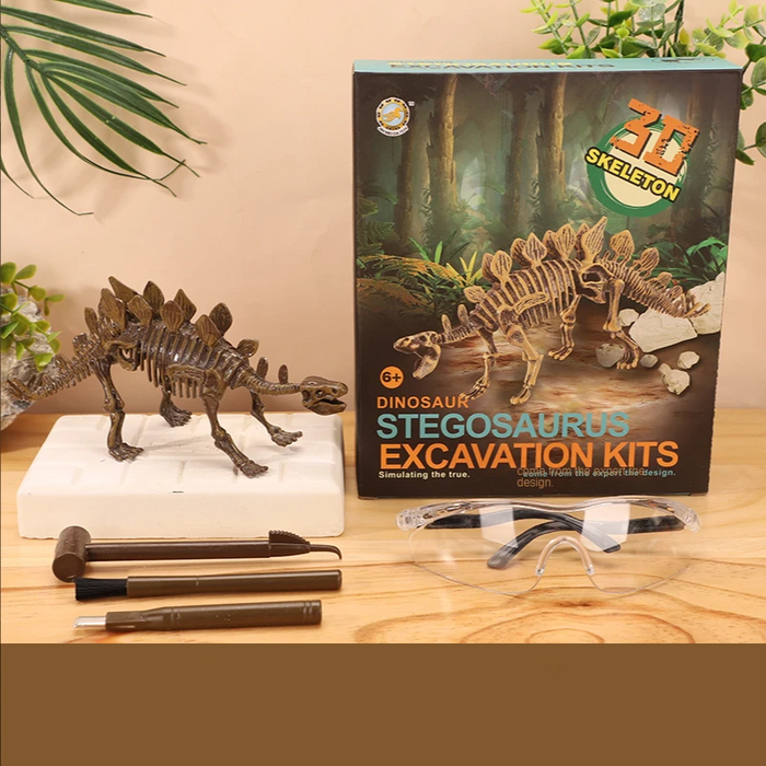 Exciting Fossil Excavation Kit, Educational Adventure