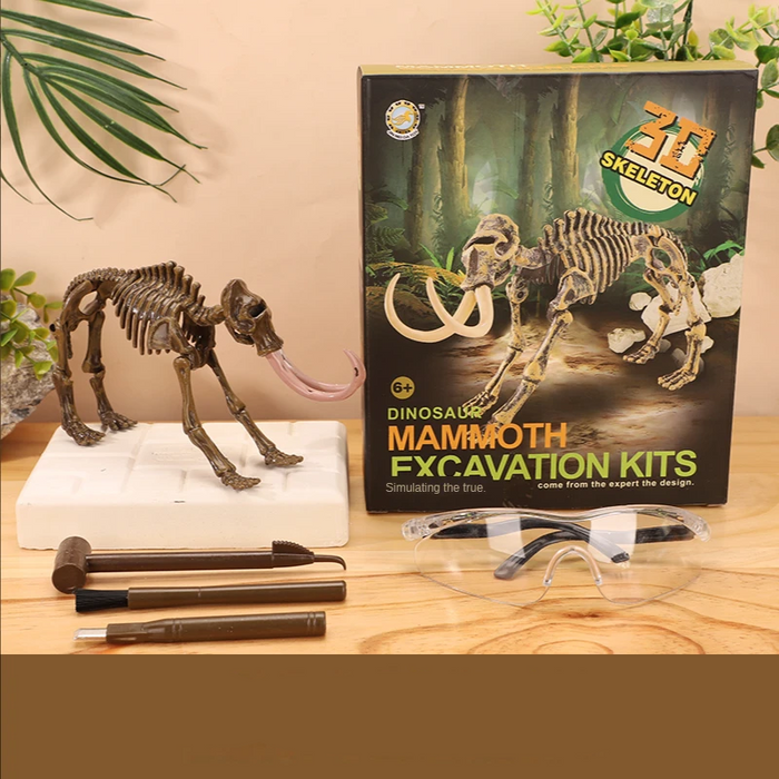 Exciting Fossil Excavation Kit, Educational Adventure