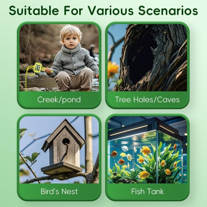 Educational Endoscope, Adventurous Exploration