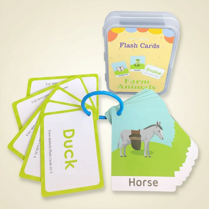Cheerful Educational Word Cards, Language-rich