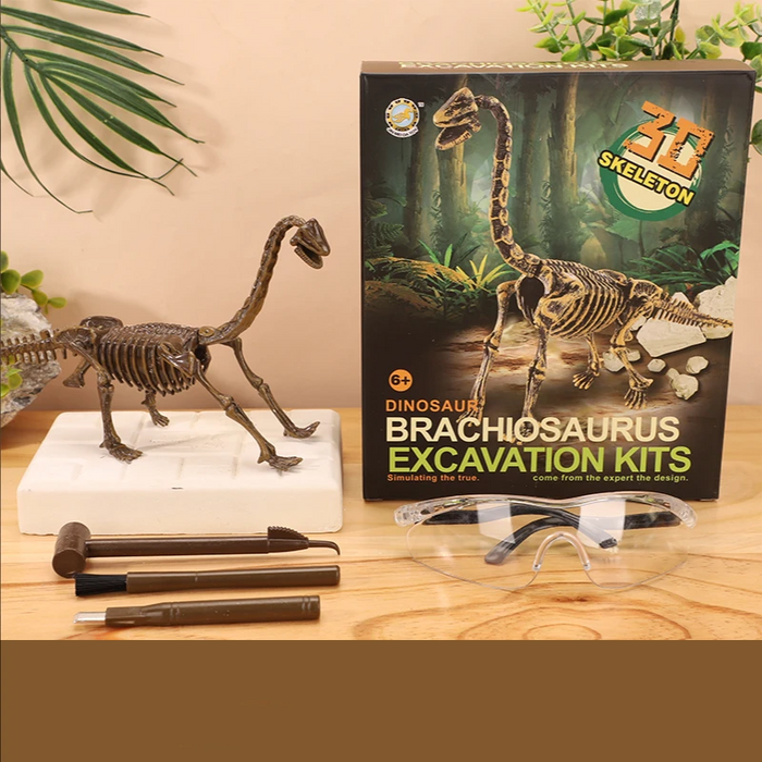 Exciting Fossil Excavation Kit, Educational Adventure