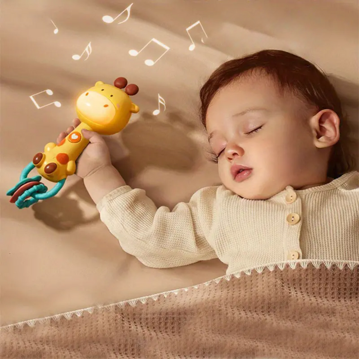 Sensory Baby Rattle, Safe and Educational