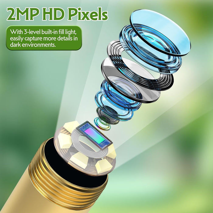 Educational Endoscope, Adventurous Exploration