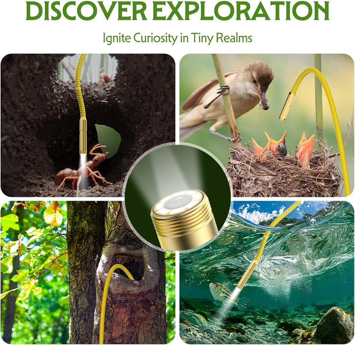 Educational Endoscope, Adventurous Exploration