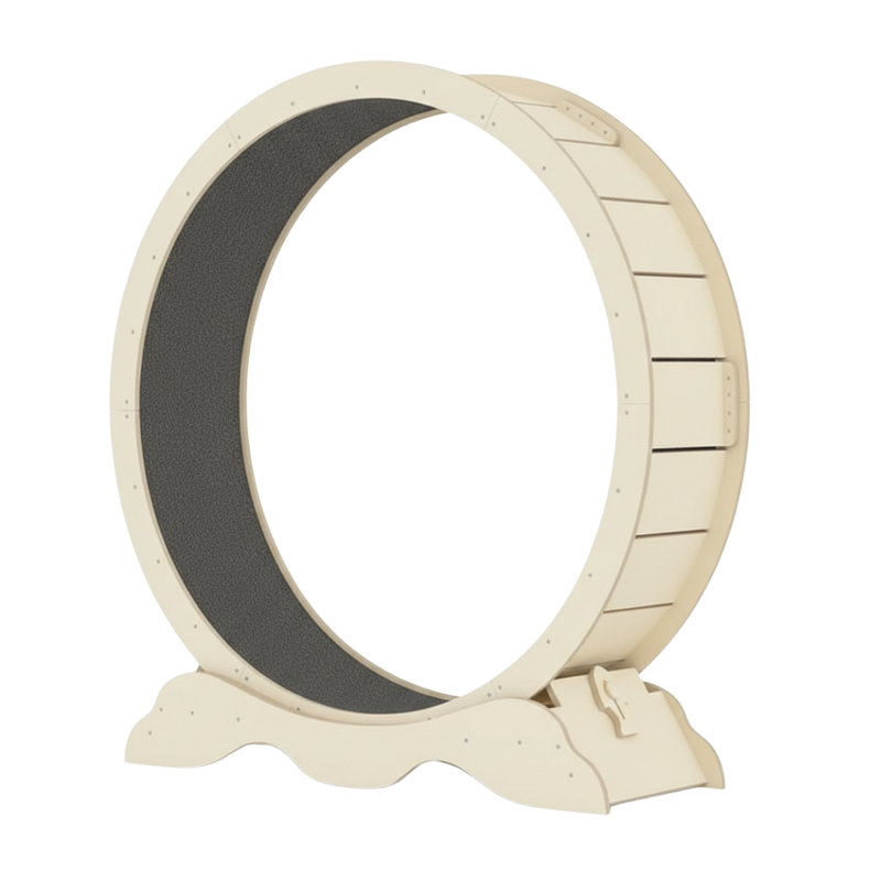 Indoor Cat Exercise Wheel with Carpet Runway and Locking Base