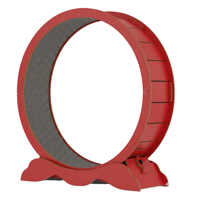 Indoor Cat Exercise Wheel with Carpet Runway and Locking Base