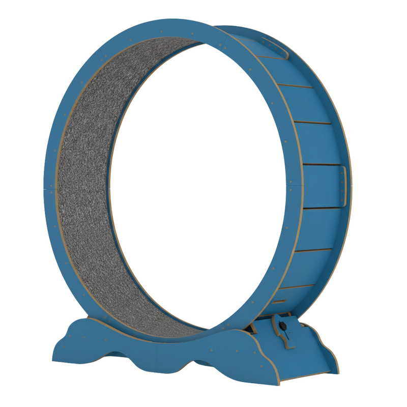 Indoor Cat Exercise Wheel with Carpet Runway and Locking Base