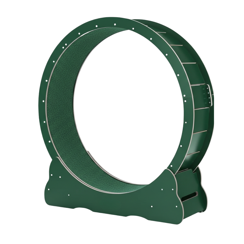 Indoor Cat Exercise Wheel with Locking Base and Detachable Mat