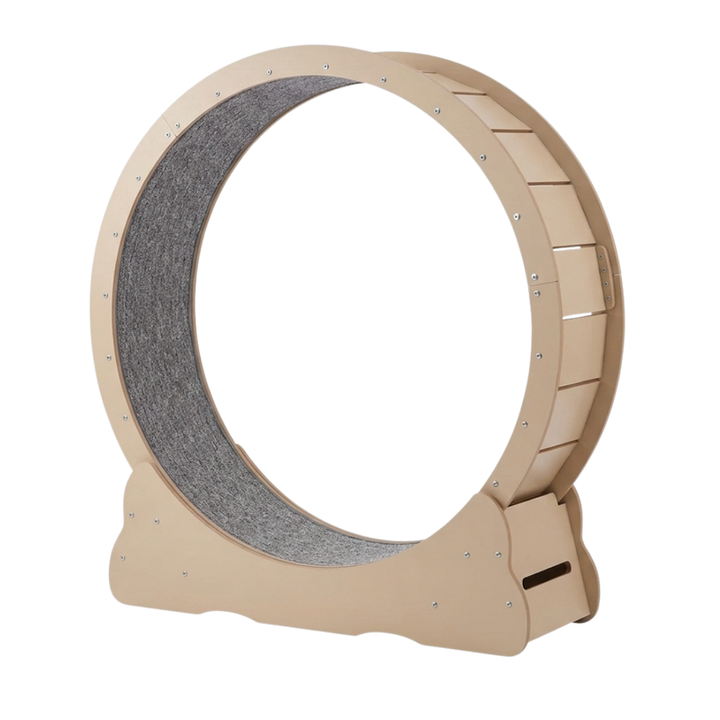 Indoor Cat Exercise Wheel with Locking Base and Detachable Mat