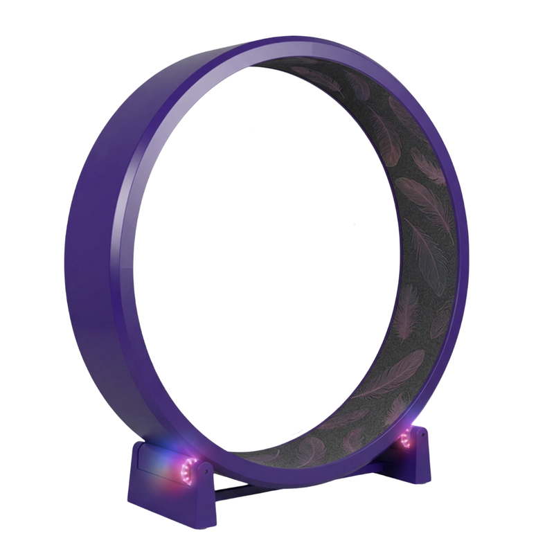 Cat Exercise Wheel 48 in Diameter with Black Felt Traction Pads