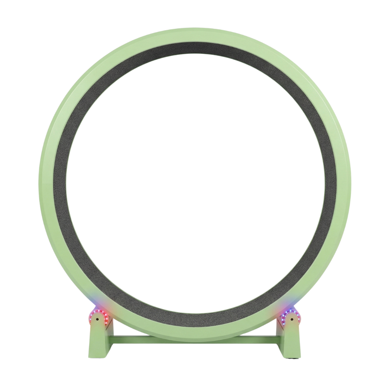 Cat Exercise Wheel 48 in Diameter with Black Felt Traction Pads