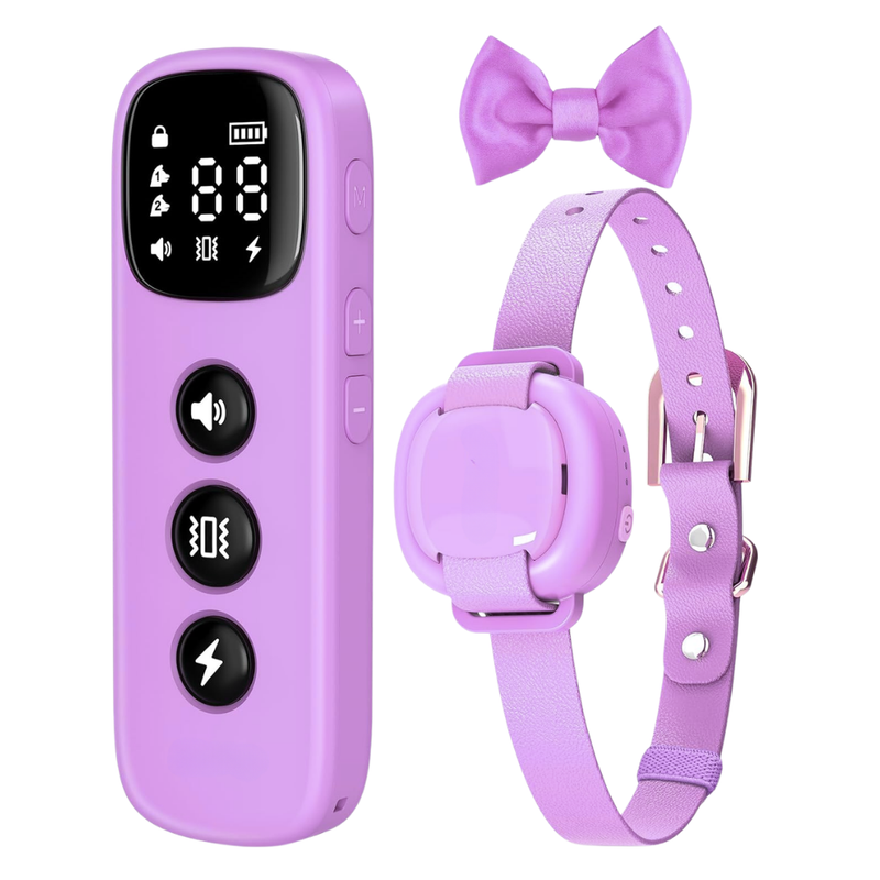 Mini Dog Training Collar with Remote Control and Signal Modes
