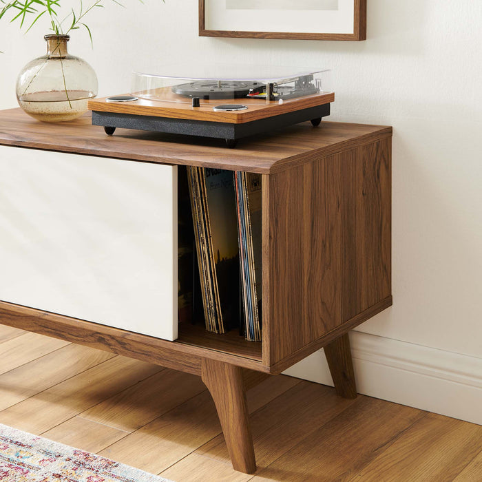 Envision Vinyl Record Display Stand