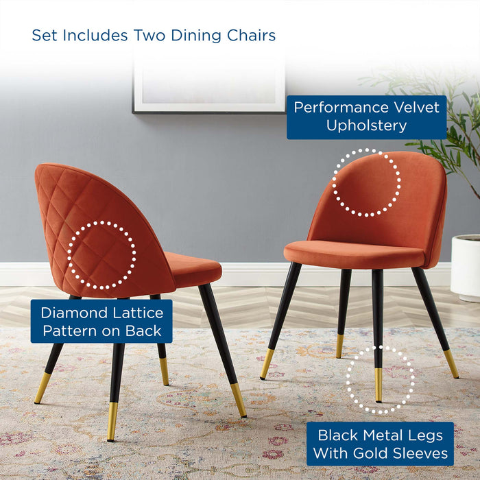 Cordial Performance Velvet Dining Chairs - Set of 2