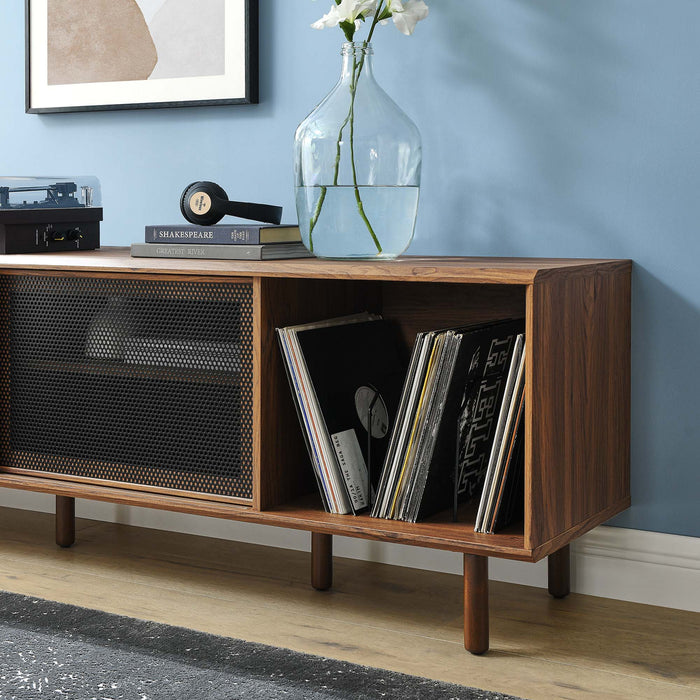 Kurtis 67" TV and Vinyl Record Stand