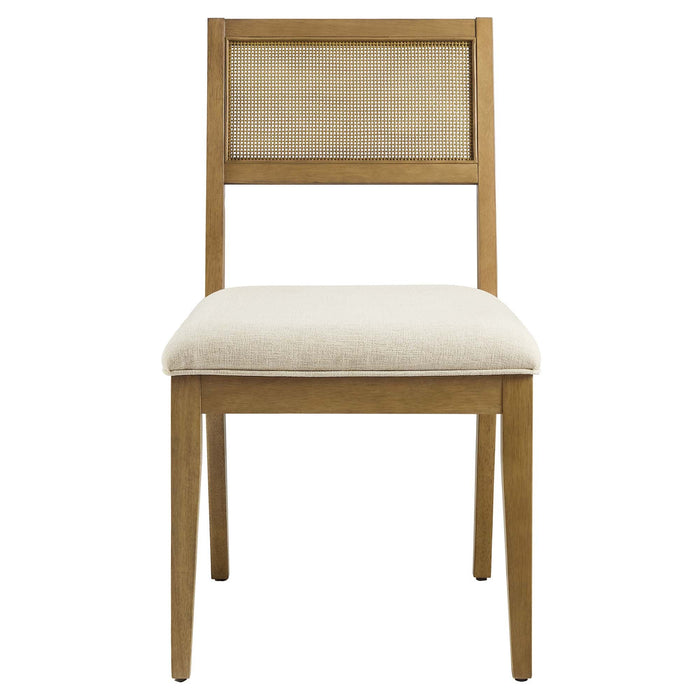 Nimba  Rattan Fabric Dining Chairs Set of 2