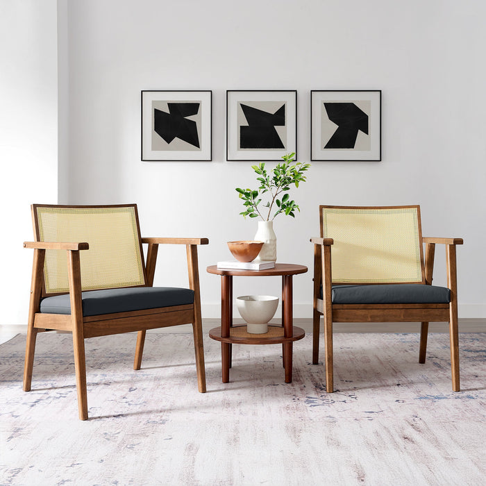 Thera Vegan Leather and Cane Accent Armchairs Set of 2