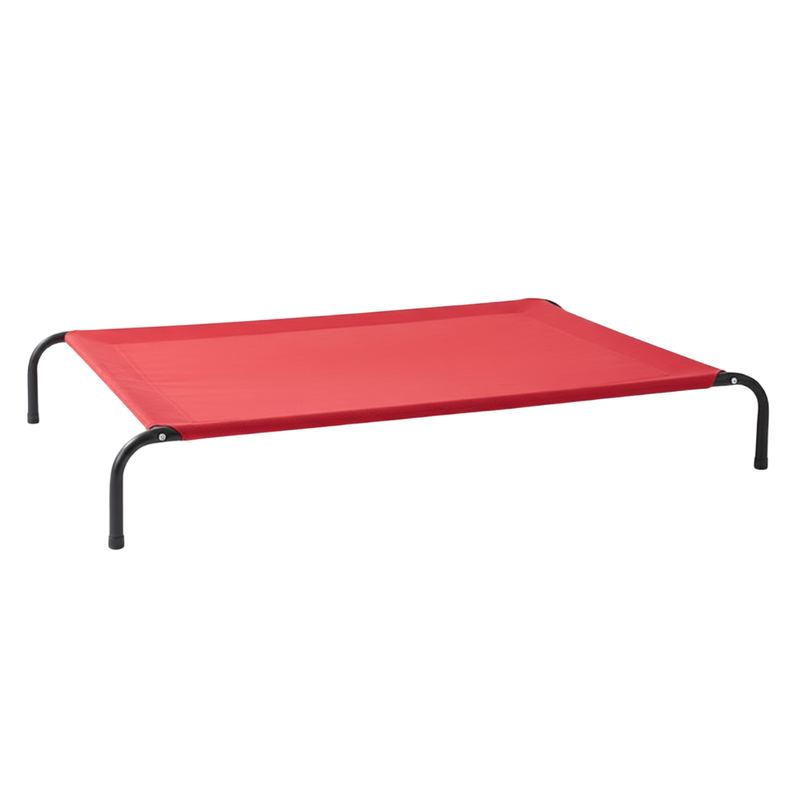 Elevated Dog Cot Bed with Mesh Surface and Skid-Resistant Feet