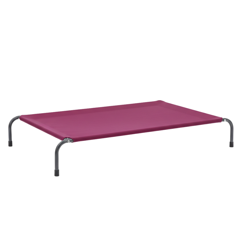 Elevated Dog Cot Bed with Mesh Surface and Skid-Resistant Feet