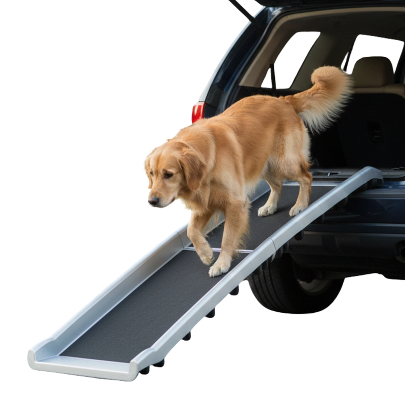 Dog Folding Car Ramp for Vehicle Access with Raised Side Rails