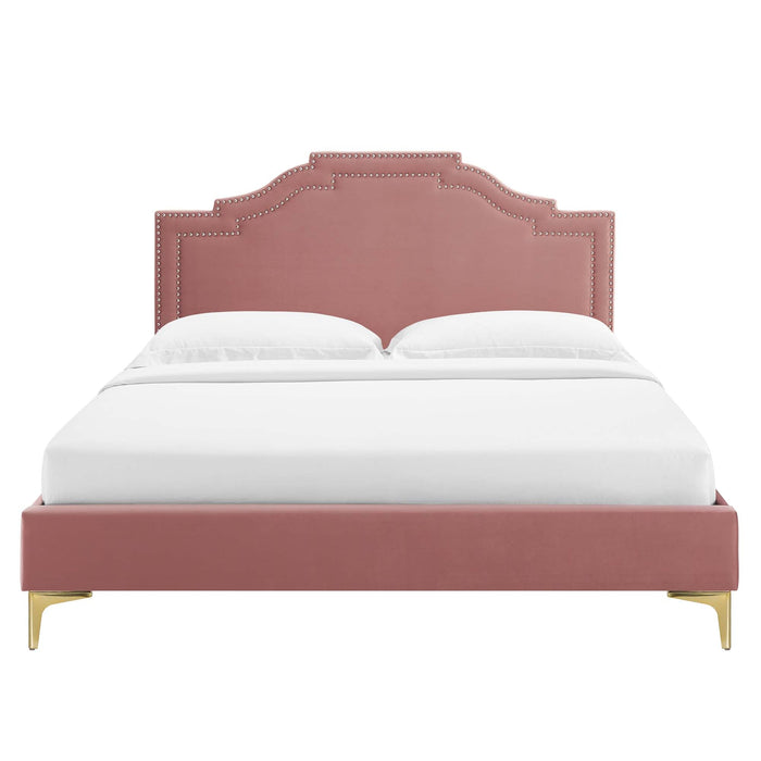 Adelaide Performance Velvet Platform Bed With Gold Metal Legs