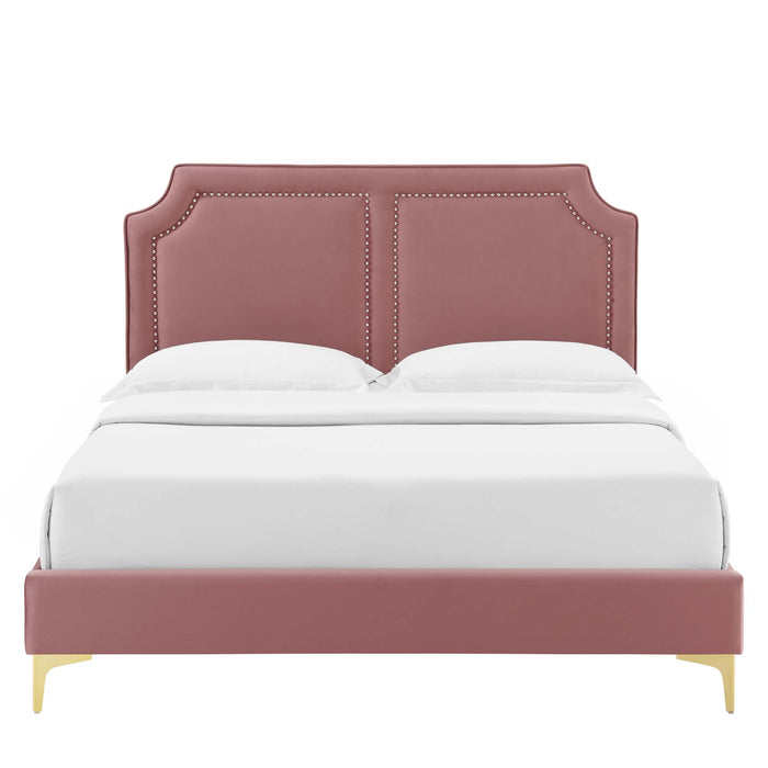 Novi Performance Velvet Bed With Gold Metal Legs