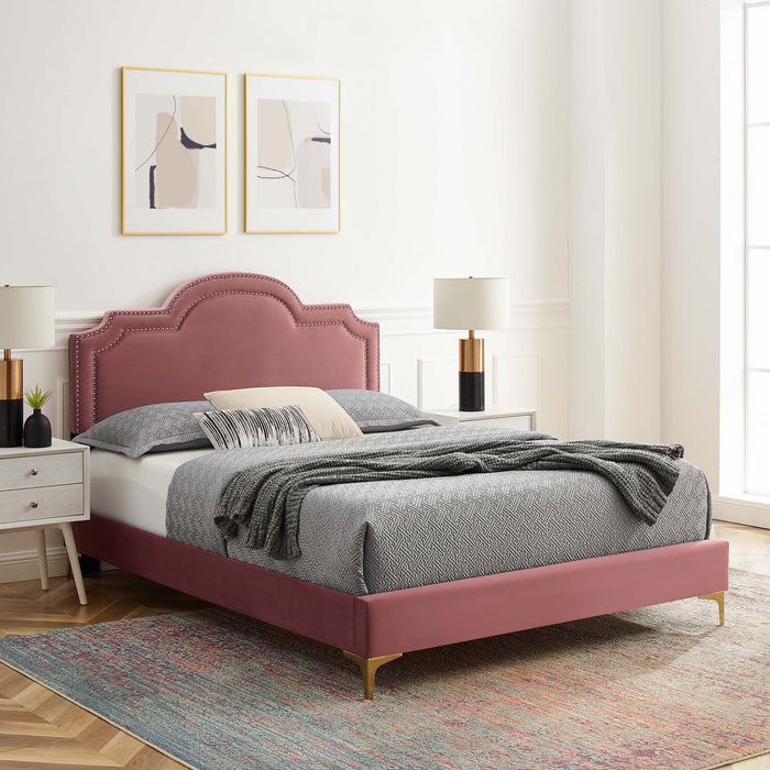 Aviana Performance Velvet Bed With Gold Legs