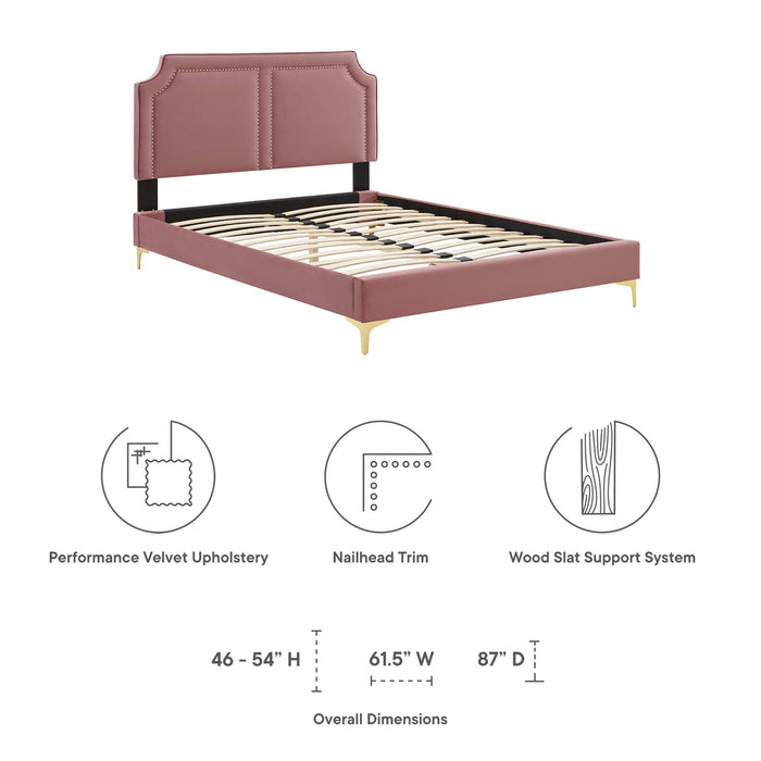 Novi Performance Velvet Bed With Gold Metal Legs