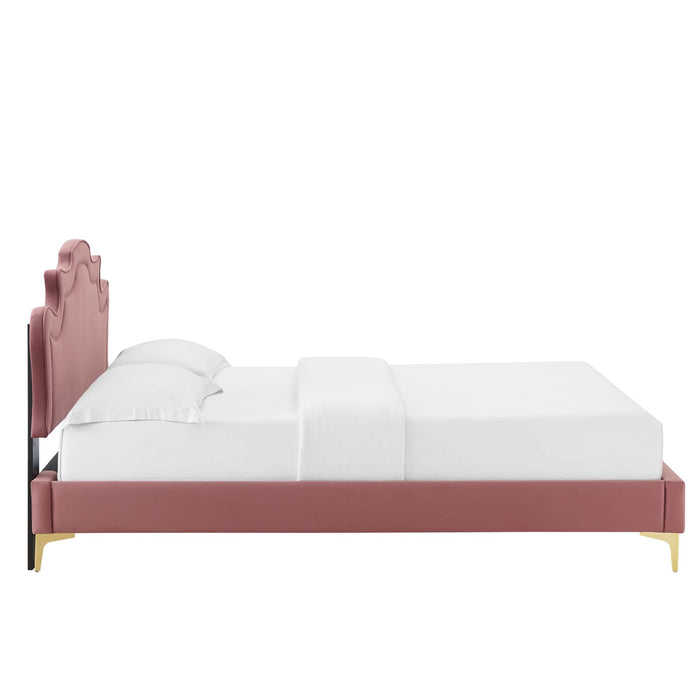 Neena Performance Velvet Bed With Gold Metal Legs