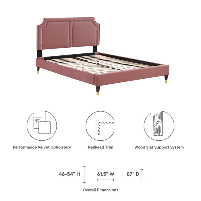 Novi Performance Velvet Bed With Wood and Gold Legs