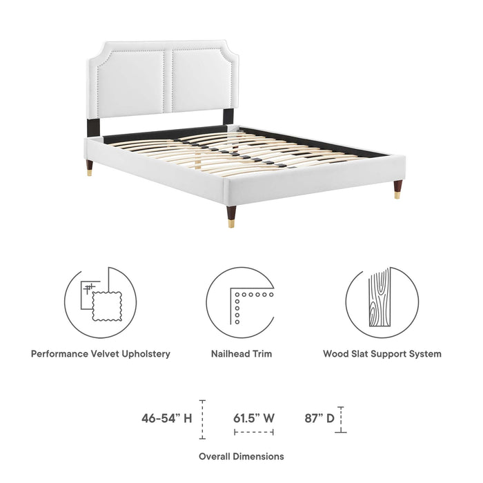 Novi Performance Velvet Bed With Wood and Gold Legs