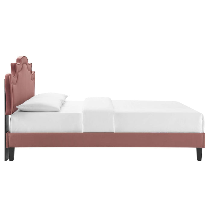 Neena Performance Velvet Bed With Black Wood Legs