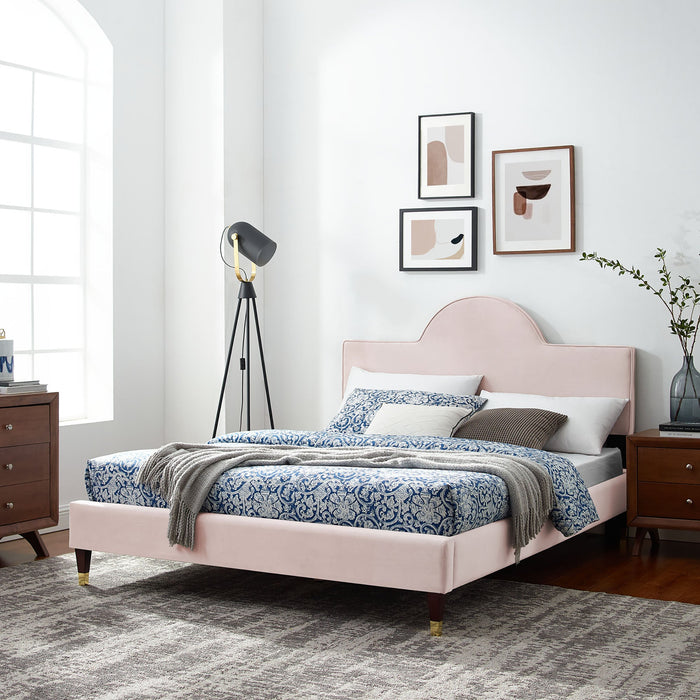 Aurora Performance Velvet Bed