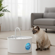 Pet Water Fountain Stainless Steel 74oz/2.2L Drinking Dispenser