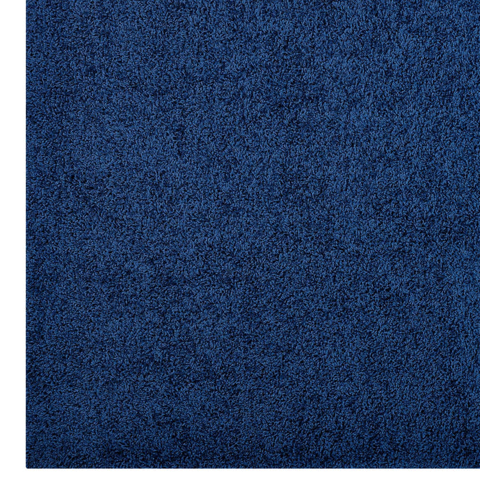 Enyssa Solid Shag Area Rug