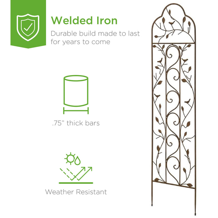 Set of 2 Iron Arched Garden Trellis