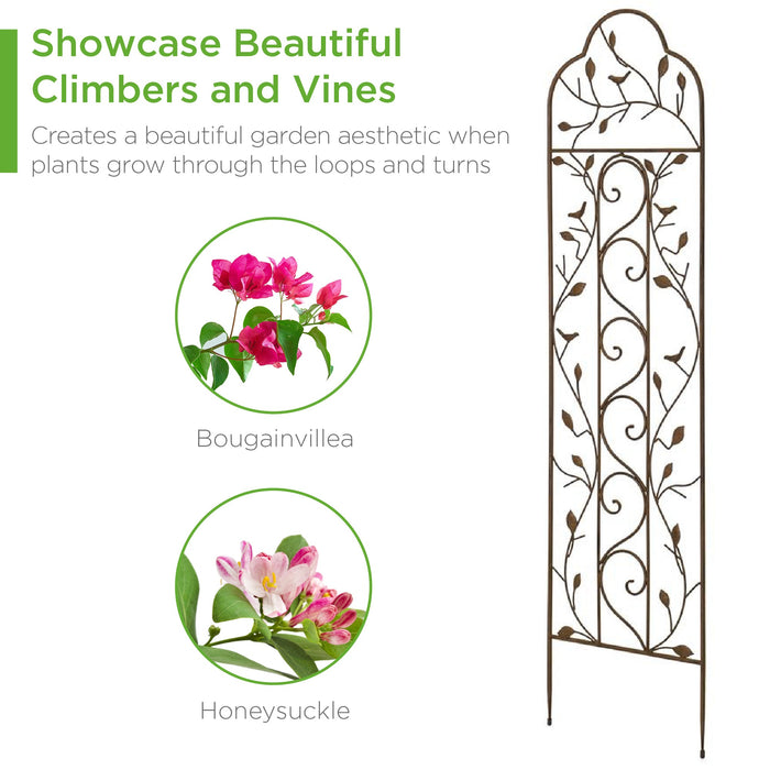 Set of 2 Iron Arched Garden Trellis