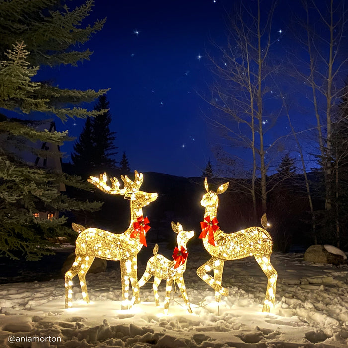 Ensemble de 3 cerfs de Noël illuminés pour décoration extérieure avec lumières LED