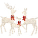 3-Piece Lighted Christmas Deer Set Outdoor Decor with LED Lights