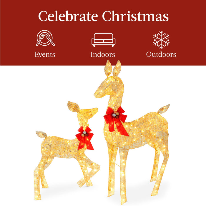 2-Piece Lighted Christmas Deer Family Outdoor Decor Set with LED Lights