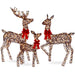 3-Piece Lighted Christmas Deer Set Outdoor Decor with LED Lights