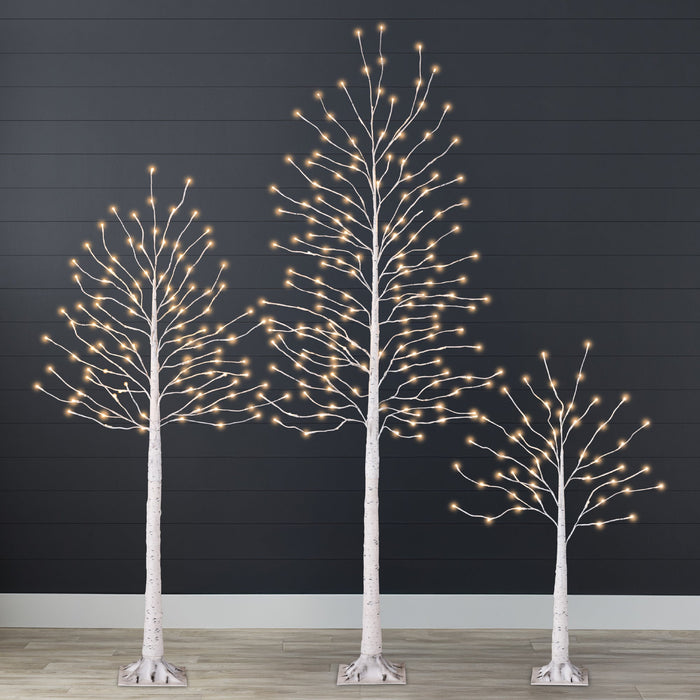 Set of 3 Lighted Twig Birch Trees, 4ft, 6ft, 8ft w/ 300 2-in-1 LEDs