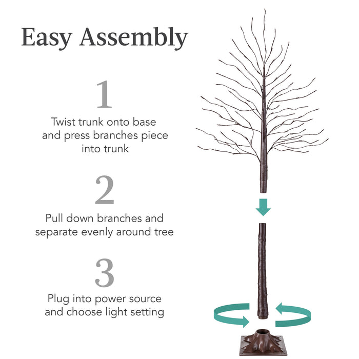 Set of 3 Lighted Twig Birch Trees, 4ft, 6ft, 8ft w/ 300 2-in-1 LEDs