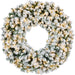 Pre-Lit Flocked Artificial Fir Christmas Wreath w/ 2-in-1 LED Lights